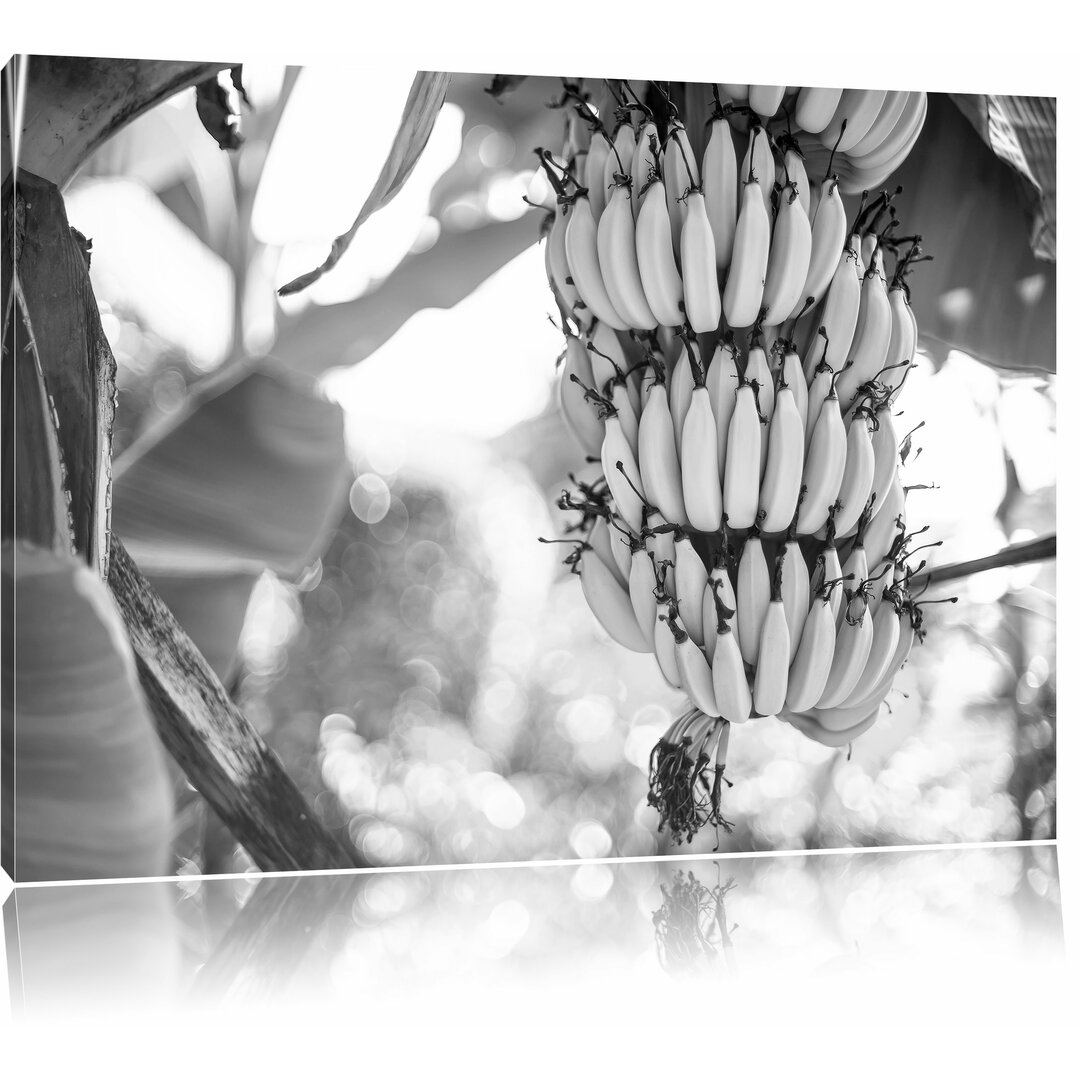 Leinwandbild „Reifende Bananen am Baum“, Fotodruck