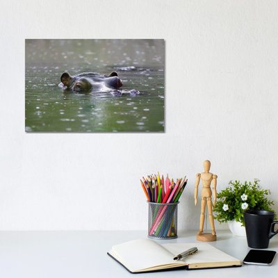 Hippo by Goran Anastasovski - Wrapped Canvas Print