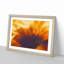 Petals of a Flower - Picture Frame Painting Print-55582899-55582902
