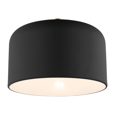 1 - Light Flush Mount