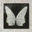 «Wings 1» par James Wiens, art mural en verre acrylique