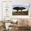 Alvord deux sapins Socotra-108888796