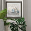 Blue Shell Study III-impression de cadre photo sur papier-145096519-145096526