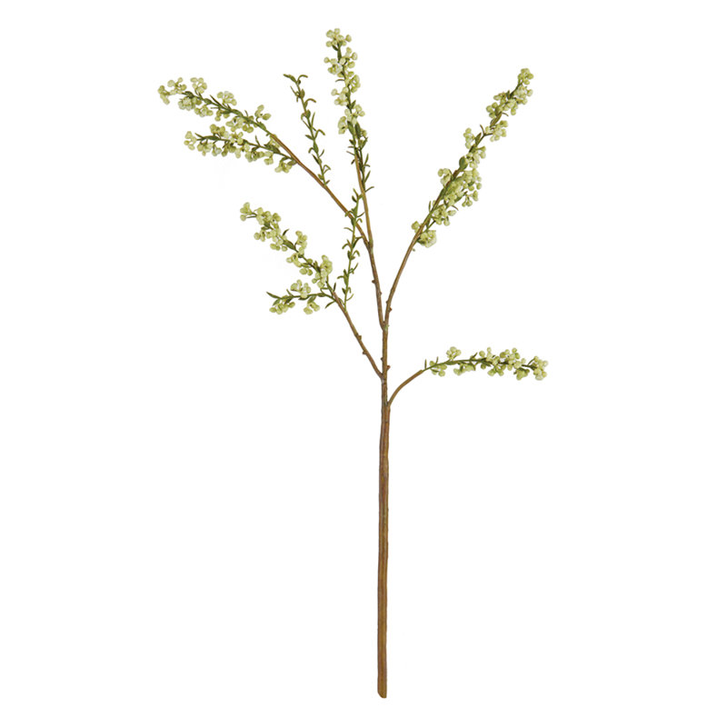 24-Inch Blossom Bud Stem