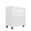 Armoire de garage roulante-302050545