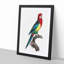 Eastern Rosella Parrot by F. Levaillant - Picture Frame Art Print-55537243-55537244
