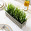 Johnone 22.09 cm Artificial Grass in Planter