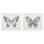 Ensemble de 2 reproductions encadrées sous verre bleu encadré de papillons, par Danhui Nai