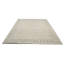 Tapis oriental délavé à la main 10 x 13