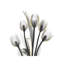 « doréy tulipes i » par albert koetsier,-print-49703852-49703853
