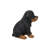 Sitting Rottweiler Puppy Statue