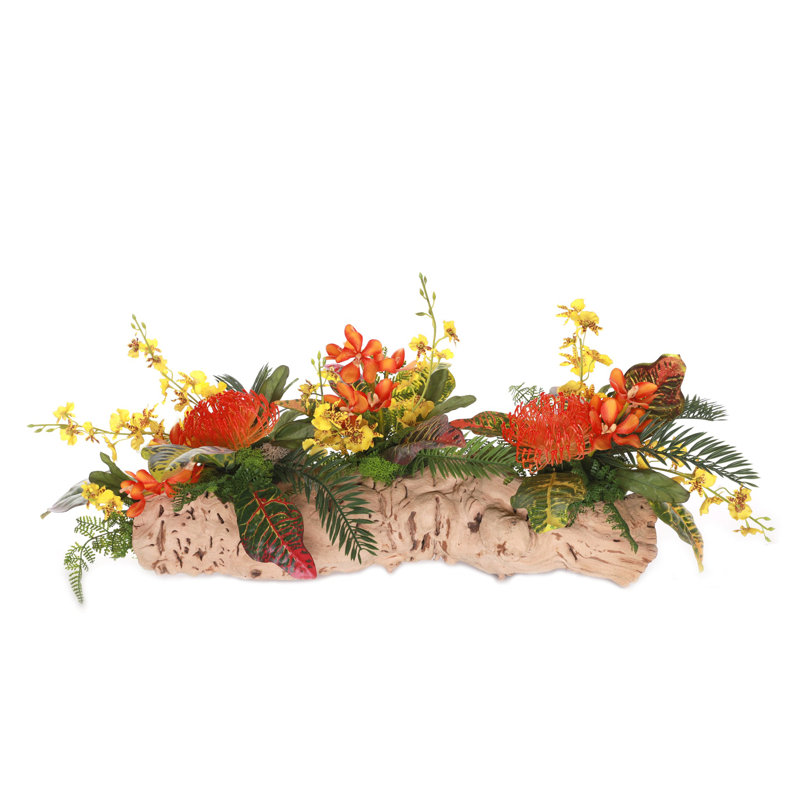 Arrangement de fleurs tropicales dans une bûche de vigne