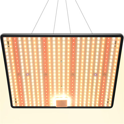 Brayden Studio Grow Light