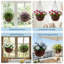 2 pièces Panier à fleurs suspendu avec bouchon de drainage pour plantes d'intérieur et d'extérieur-1010333703