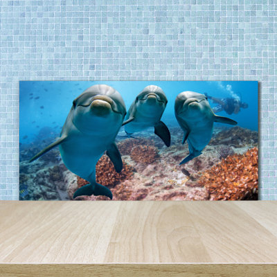 50cm W x 100cm L Glass Peel and Stick Panel