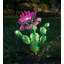 Piquet de jardin solaire Narelle