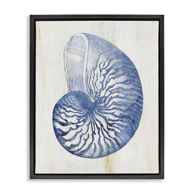Cadre flottant bleu Nautilus Shell, design par Susan Arnot