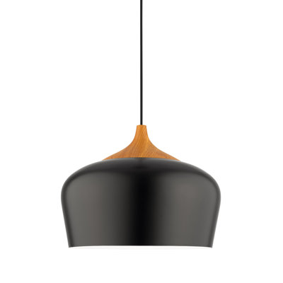 Olivia 1 - Light Dome Pendant