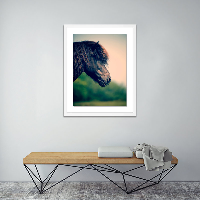 Horse Profile 5 Framed Photographic Print, 40" H x 31" W x 2.5" D, White
