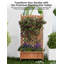 Planter-602805559