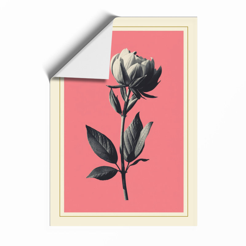 Rose Study Botanical - Framed Print, A1 - 84.1 x 59.4 cm, Unframed