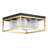 4-lamp black gold adjustable iron ceiling light