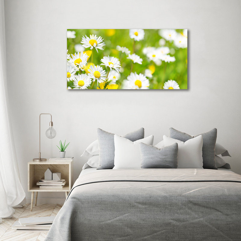 Daisies - Wrapped Canvas Print