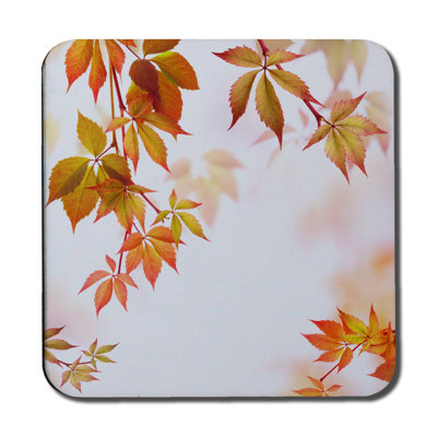 Square 6 Piece Coaster Set