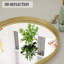 Miroir de salle de bain Mordern-Design-989062641-989062655
