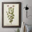 Antique Herb Botanical I - reproduction d'art sur toile encadrée-309662788