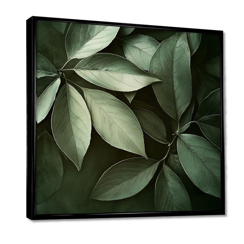 «Forest Leaves Dance Of The Foliage II» - art mural feuilles, Impression encadrée flottante, H 30 po x l 30 po