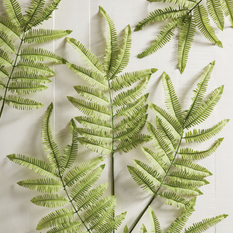 42.5-Inch Tree Fern Stem