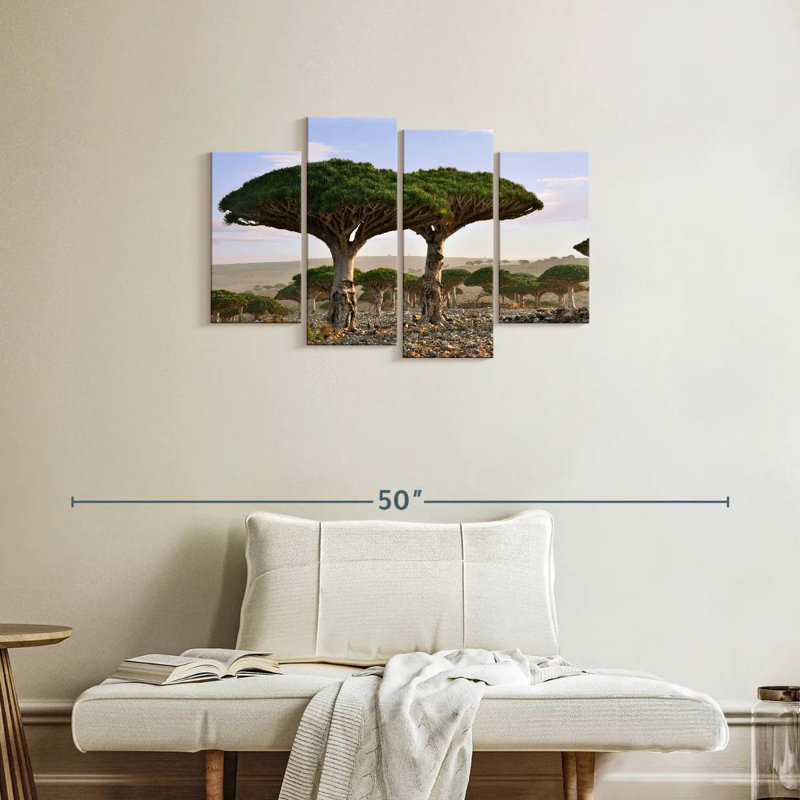Alvord deux sapins Socotra