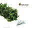 Écran d'intimité érable 40 X 96 po