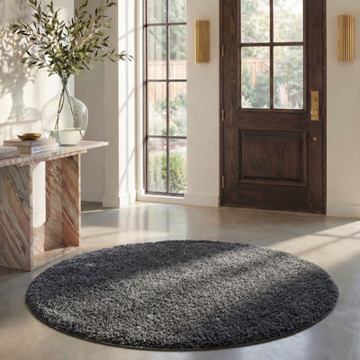 Delane Dark Gray Area Rug