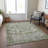 Machine Washable Indoor/Outdoor Xhevrie Aloe Rug-1611790411