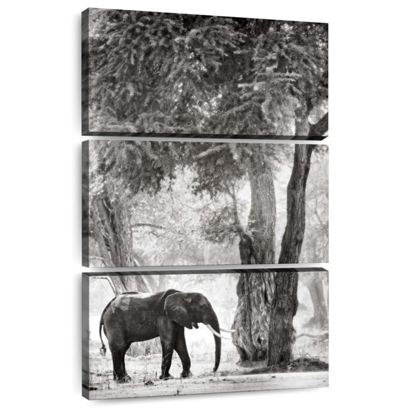 Éléphant errant, H 32 po x l 20 po