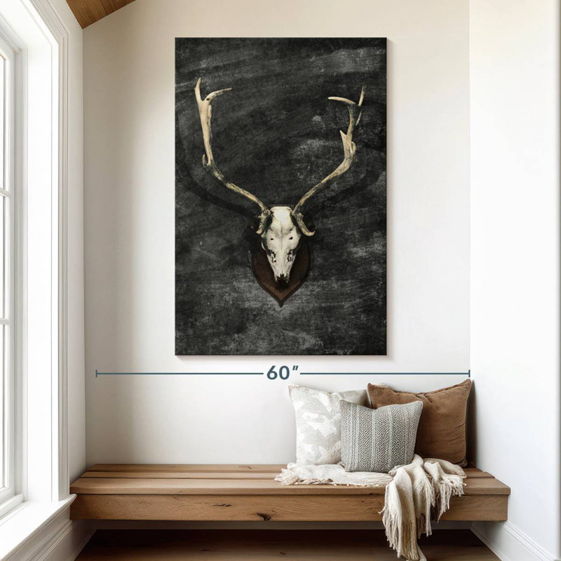 Kerner Trophy Deer Skull, 51" H x 34" W