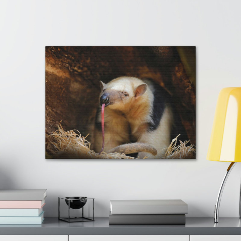 No Frame Print on Canvas