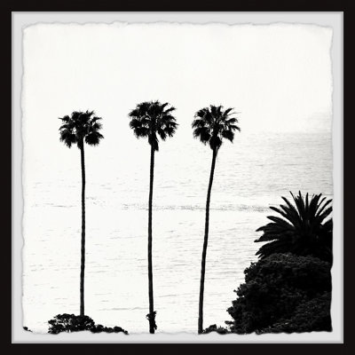 Towering Palm Trees - Single Picture Frame Print