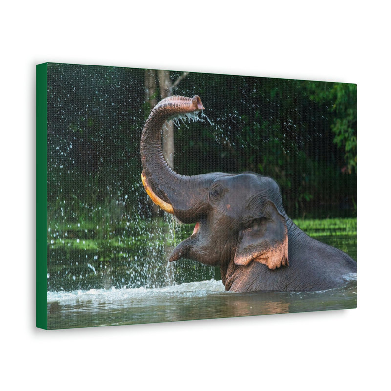 No Frame Print on Canvas