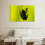 Grenouille sur feuille-2056130887