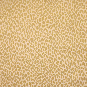 Shenzi Fabric