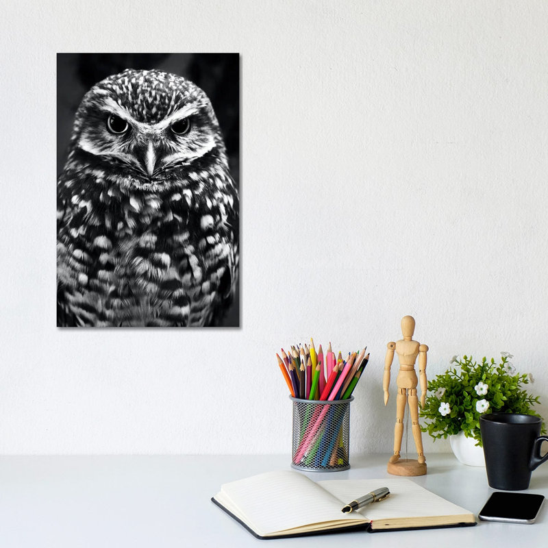 Owl by Nikita Abakumov - Wrapped Canvas Print, 30.48cm H x 20.32cm W