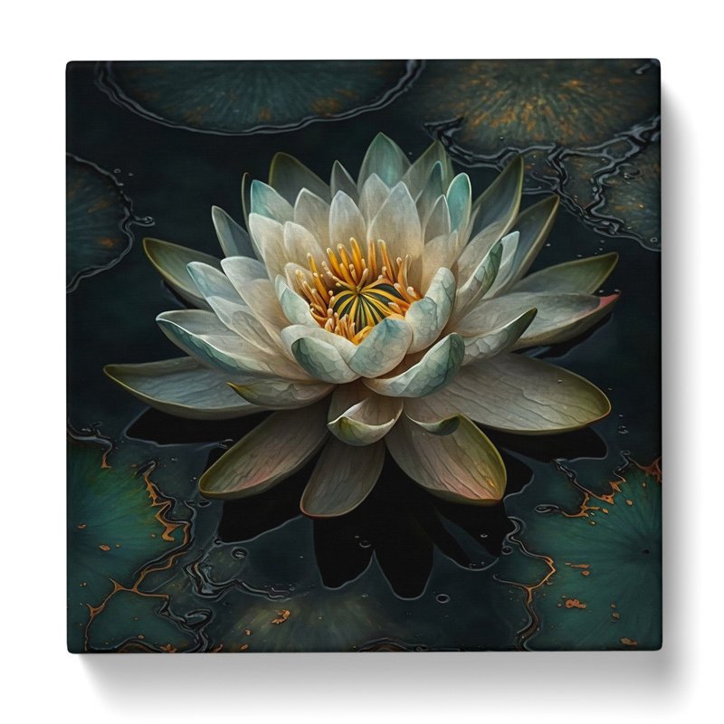 Wrapped Canvas Print, 50cmH x 50cmW