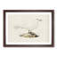 Ivory Gull by Von Wright - Framed Print-55576315-55576320
