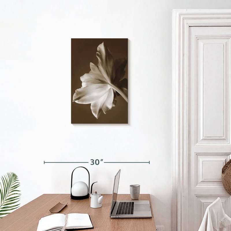 Harnek Moonglow Tulip, 24" H x 16" W