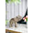 Waco Animals Figurines & Sculptures