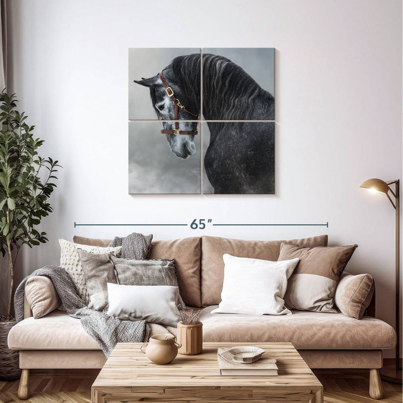 Brampt Gray Andalusian Horse