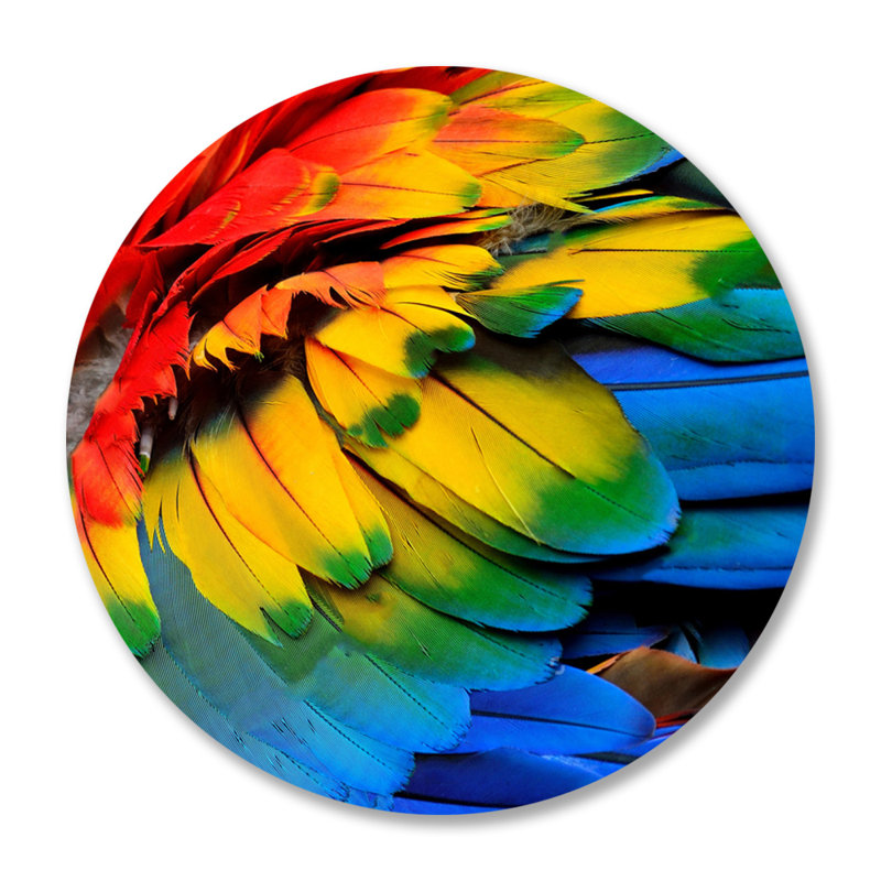 Rainbow Feathers Two - reproduction d'art sur acrylique / aluminium, H 46 po x l 46 po x P 1,50 po, Mentale